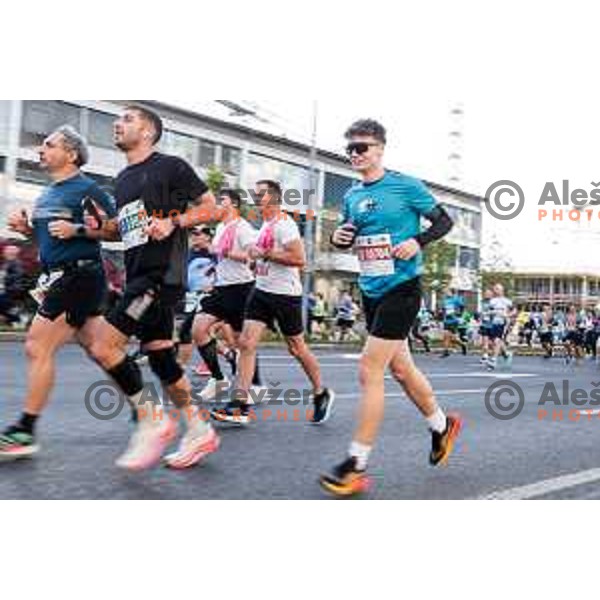 Ljubljana Marathon, Slovenia on October 19, 2025