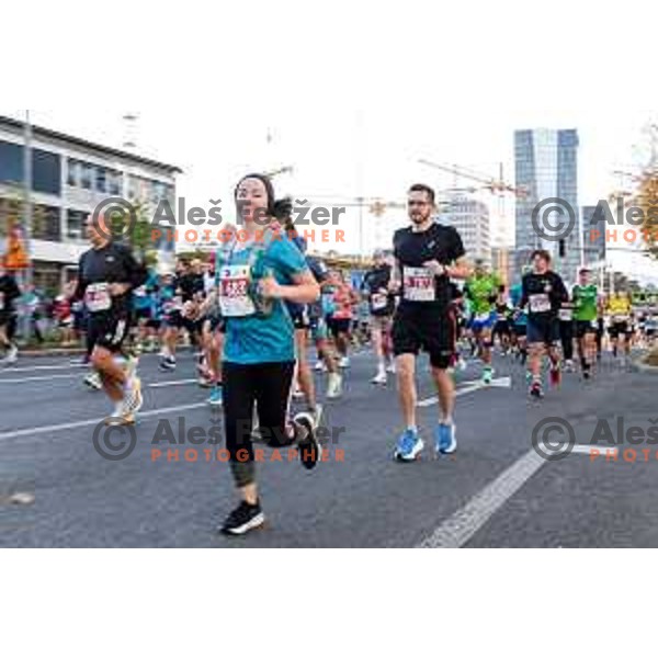 Ljubljana Marathon, Slovenia on October 19, 2025
