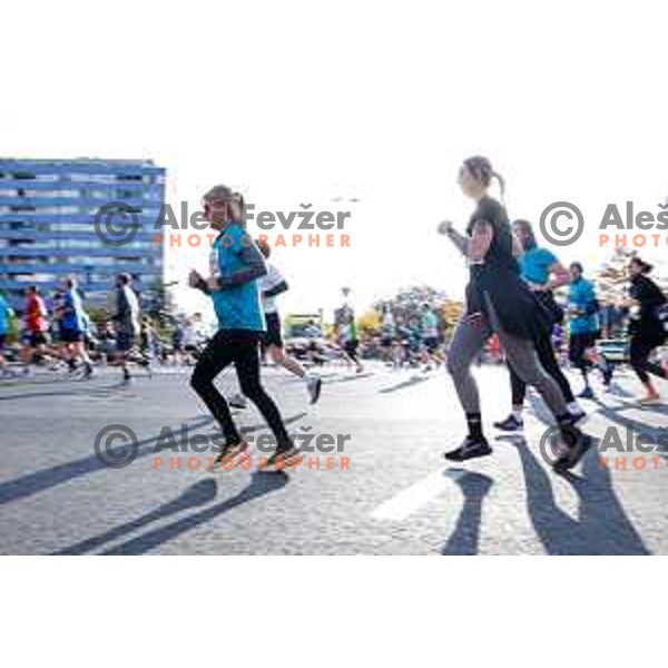 Ljubljana Marathon, Slovenia on October 19, 2025