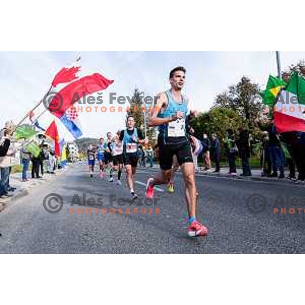 Ljubljana Marathon, Slovenia on October 19, 2025