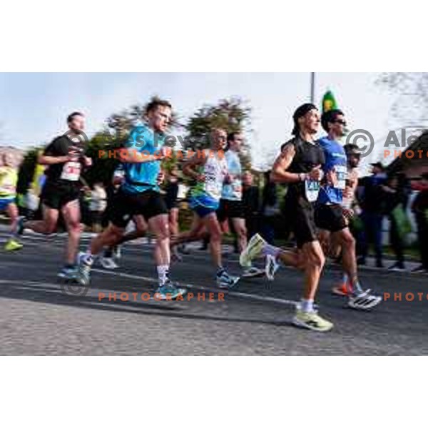 Ljubljana Marathon, Slovenia on October 19, 2025