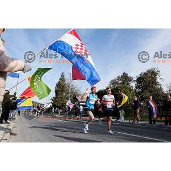 Ljubljana Marathon, Slovenia on October 19, 2025