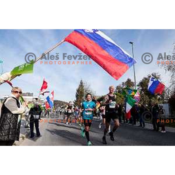 Ljubljana Marathon, Slovenia on October 19, 2025