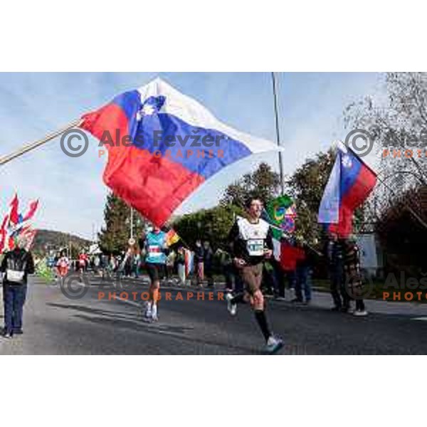 Ljubljana Marathon, Slovenia on October 19, 2025