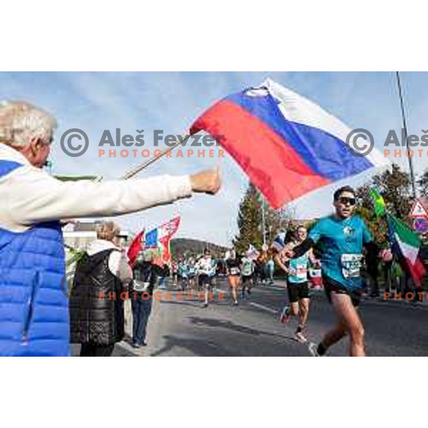 Ljubljana Marathon, Slovenia on October 19, 2025