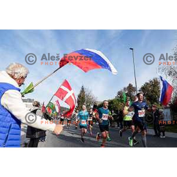 Ljubljana Marathon, Slovenia on October 19, 2025