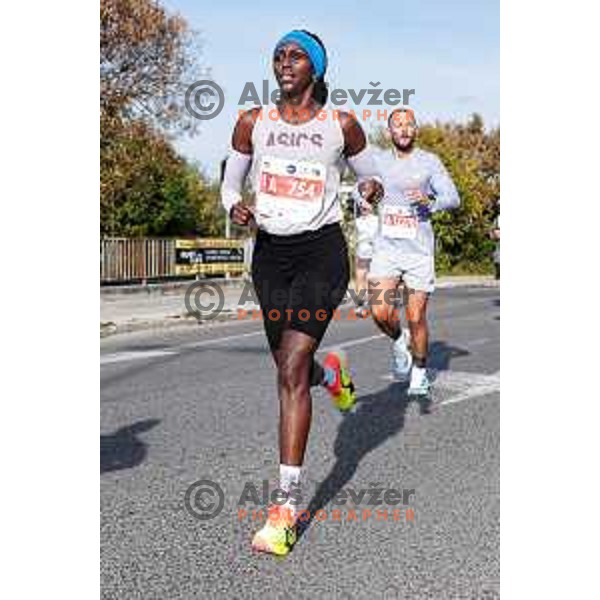 Ljubljana Marathon, Slovenia on October 19, 2025