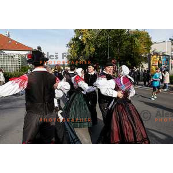 Ljubljana Marathon, Slovenia on October 19, 2025