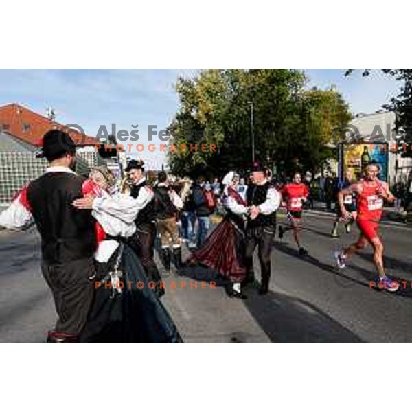 Ljubljana Marathon, Slovenia on October 19, 2025