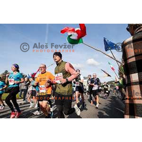 Ljubljana Marathon, Slovenia on October 19, 2025