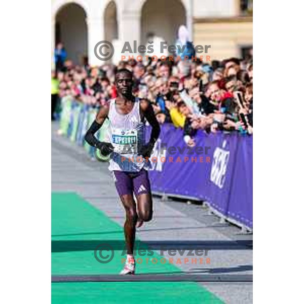 Ljubljana Marathon, Slovenia on October 19, 2025
