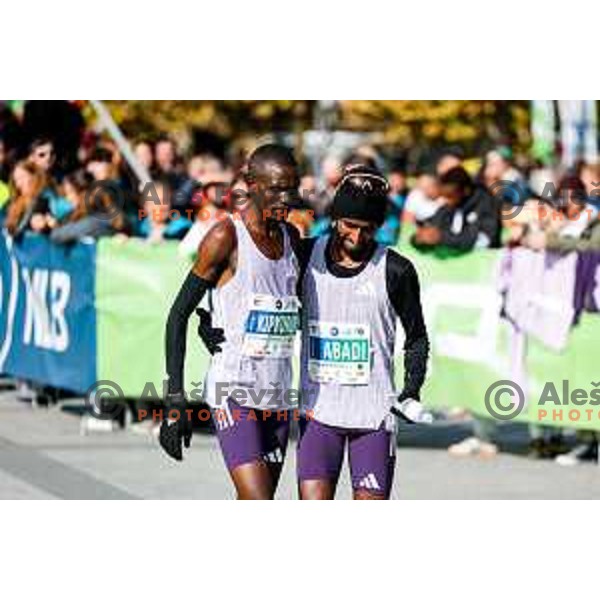 Ljubljana Marathon, Slovenia on October 19, 2025