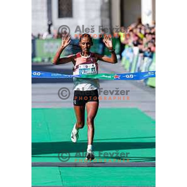Ljubljana Marathon, Slovenia on October 19, 2025