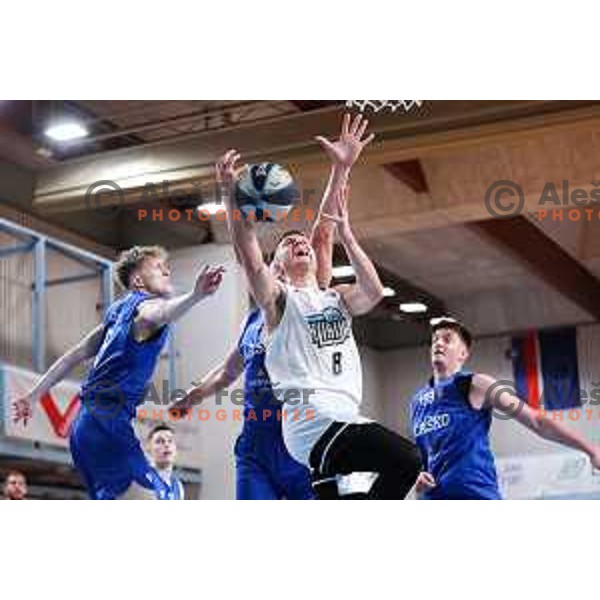Edo Muric of Ilirija in action during OTP Bank League 2025/2026 basketball match between Ilirija and Zlatorog Lasko in Ježica, Ljubljana, Slovenia on October 25, 2025. Photo: Filip Barbalic