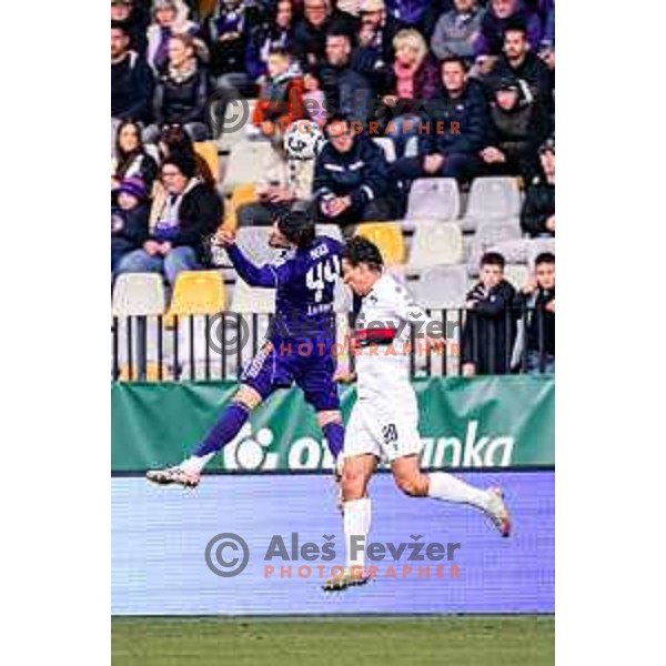 in action during Prva liga Telemach 2025/2026 football match between Maribor and Primorje at Ljudski vrt, Maribor, Slovenia on October 25, 2025 Photo: Sebastijan Andrejek Bukovec