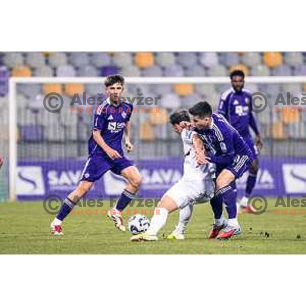 in action during Prva liga Telemach 2025/2026 football match between Maribor and Primorje at Ljudski vrt, Maribor, Slovenia on October 25, 2025 Photo: Sebastijan Andrejek Bukovec