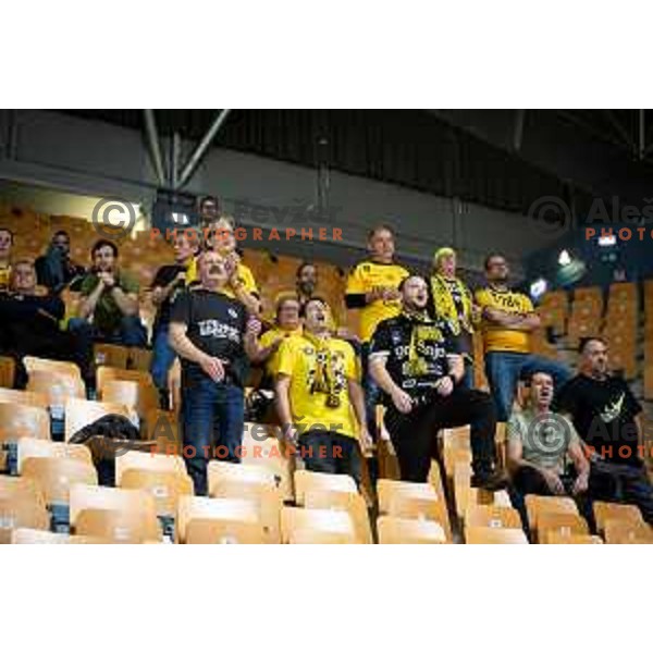 Saleski grascaki in action during 1.NLB league handball match between Celje Pivovarna Lasko and Gorenje Velenje in Celje, Slovenia on Oktober 25, 2025.