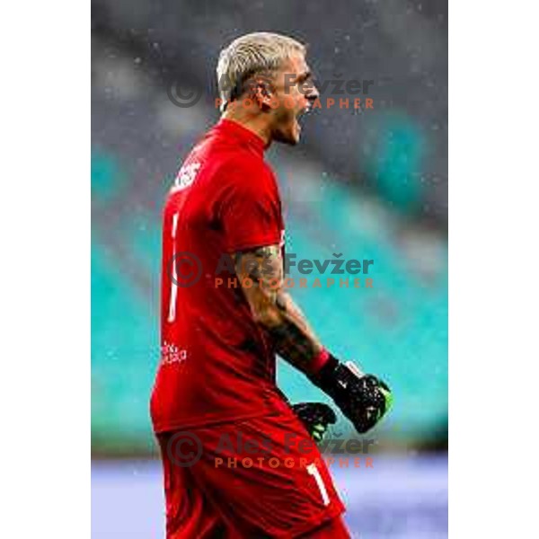 Tsogkas Konstantinos of Domzale celebrates win in Prva liga Telemach 2025/2026 football match between Olimpija and Domžale in Stozice, Ljubljana, Slovenia on October 26, 2025. Photo: Filip Barbalic