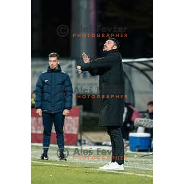 Albert Riera, head coach of Celje in action during Prva liga Telemach 2025/2026 football match between Mura and Celje at Fazanerija, Murska Sobota, Slovenia on October 25, 2025 Photo: Sebastijan Andrejek Bukovec