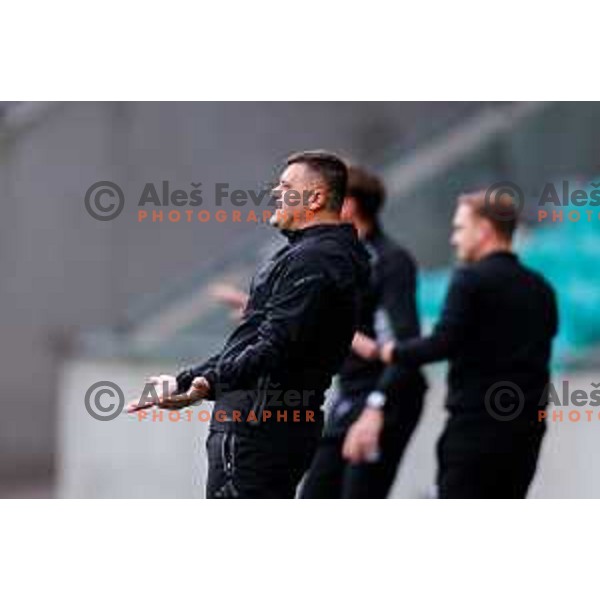Fedja Dudic, head coach of Maribor during Prva liga Telemach 2025/2026 football match between Bravo Big Bang and Maribor in Ljubljana, Slovenia on November 1, 2025