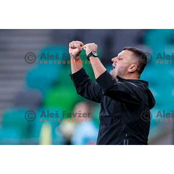 Fedja Dudic, head coach of Maribor during Prva liga Telemach 2025/2026 football match between Bravo Big Bang and Maribor in Ljubljana, Slovenia on November 1, 2025
