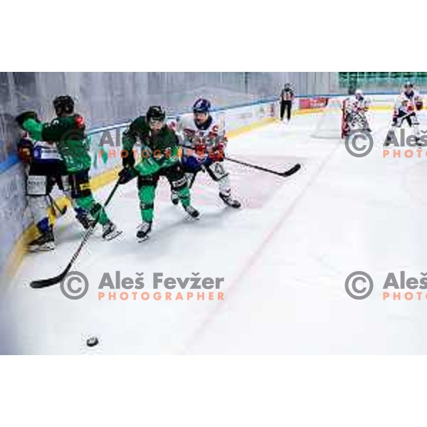 of SZ Olimpija in action during IceHL 2025/2026 ice-hockey match between SZ Olimpija and Tiwag Innsbruck in Tivoli Hall, Ljubljana, Slovenia on October 12, 2025