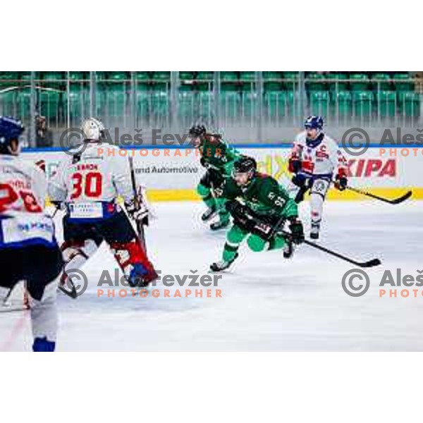 of SZ Olimpija in action during IceHL 2025/2026 ice-hockey match between SZ Olimpija and Tiwag Innsbruck in Tivoli Hall, Ljubljana, Slovenia on October 12, 2025