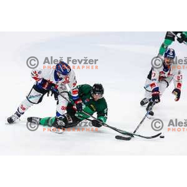 of SZ Olimpija in action during IceHL 2025/2026 ice-hockey match between SZ Olimpija and Tiwag Innsbruck in Tivoli Hall, Ljubljana, Slovenia on October 12, 2025