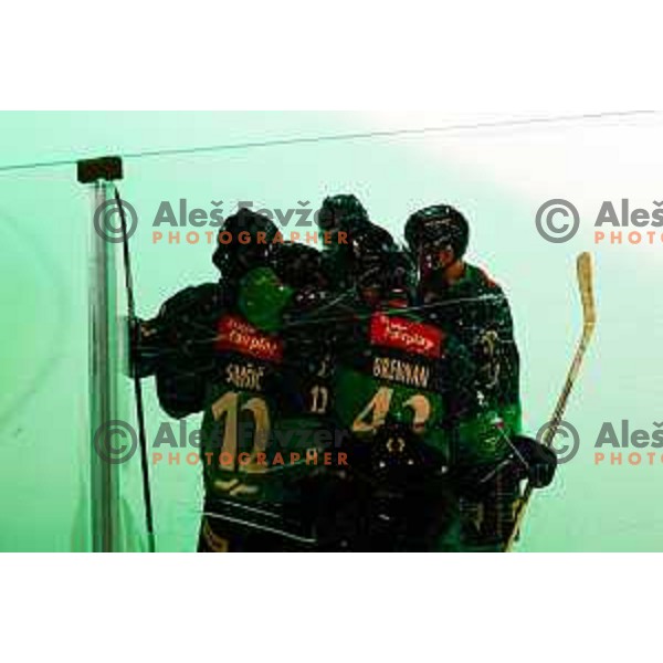 of SZ Olimpija in action during IceHL 2025/2026 ice-hockey match between SZ Olimpija and Tiwag Innsbruck in Tivoli Hall, Ljubljana, Slovenia on October 12, 2025