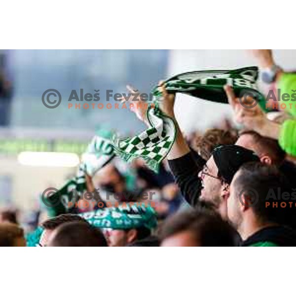 of SZ Olimpija in action during IceHL 2025/2026 ice-hockey match between SZ Olimpija and Tiwag Innsbruck in Tivoli Hall, Ljubljana, Slovenia on October 12, 2025