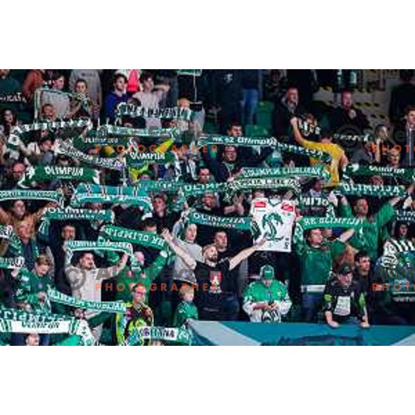 of SZ Olimpija in action during IceHL 2025/2026 ice-hockey match between SZ Olimpija and Tiwag Innsbruck in Tivoli Hall, Ljubljana, Slovenia on October 12, 2025