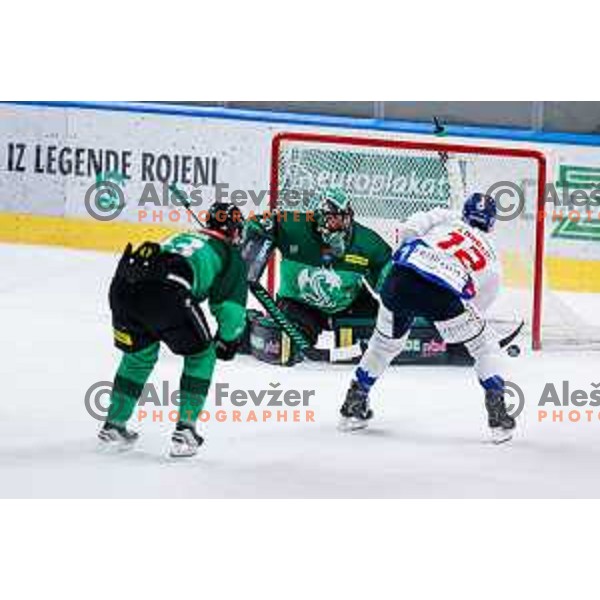 of SZ Olimpija in action during IceHL 2025/2026 ice-hockey match between SZ Olimpija and Tiwag Innsbruck in Tivoli Hall, Ljubljana, Slovenia on October 12, 2025