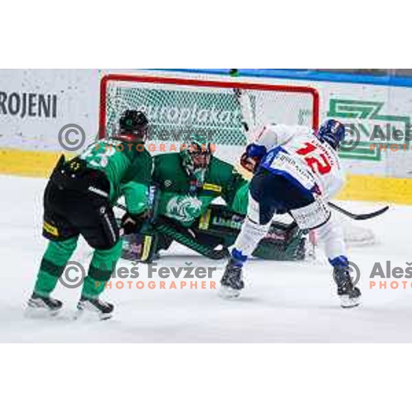 of SZ Olimpija in action during IceHL 2025/2026 ice-hockey match between SZ Olimpija and Tiwag Innsbruck in Tivoli Hall, Ljubljana, Slovenia on October 12, 2025
