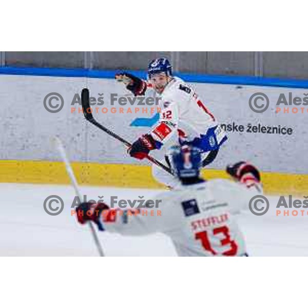 of SZ Olimpija in action during IceHL 2025/2026 ice-hockey match between SZ Olimpija and Tiwag Innsbruck in Tivoli Hall, Ljubljana, Slovenia on October 12, 2025