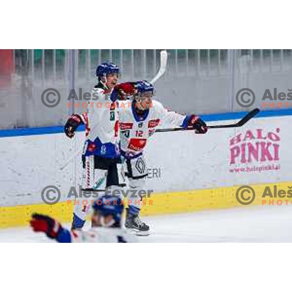 of SZ Olimpija in action during IceHL 2025/2026 ice-hockey match between SZ Olimpija and Tiwag Innsbruck in Tivoli Hall, Ljubljana, Slovenia on October 12, 2025