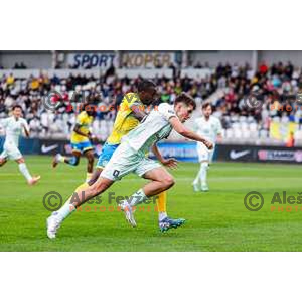 in action during Prva liga Telemach 2025/2026 football match between Koper and Olimpija at Bonifika Stadium in Koper, Slovenia on November 2, 2025