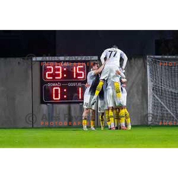 in action during Prva liga Telemach 2025/2026 football match between Primorje and Kalcer Radomlje in Ajdovscina, Slovenia on November 2 , 2025