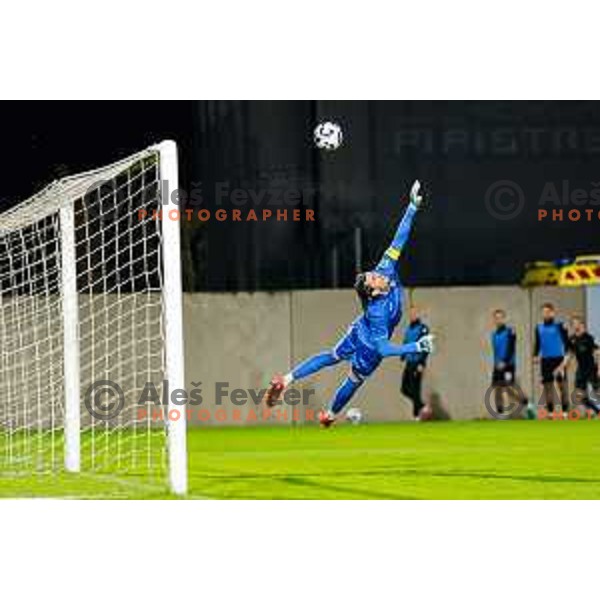 in action during Prva liga Telemach 2025/2026 football match between Primorje and Kalcer Radomlje in Ajdovscina, Slovenia on November 2 , 2025