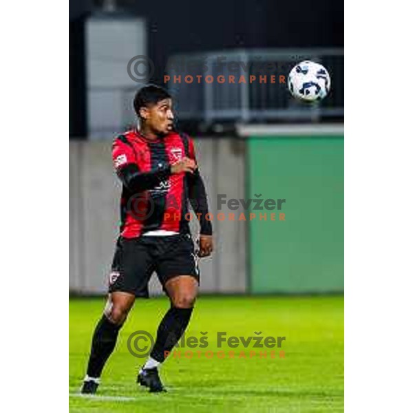 in action during Prva liga Telemach 2025/2026 football match between Primorje and Kalcer Radomlje in Ajdovscina, Slovenia on November 2 , 2025