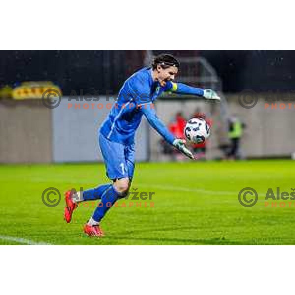 in action during Prva liga Telemach 2025/2026 football match between Primorje and Kalcer Radomlje in Ajdovscina, Slovenia on November 2 , 2025