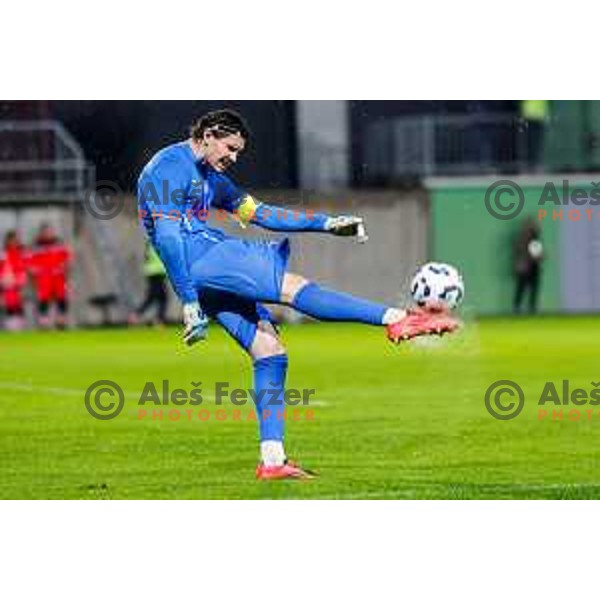 in action during Prva liga Telemach 2025/2026 football match between Primorje and Kalcer Radomlje in Ajdovscina, Slovenia on November 2 , 2025