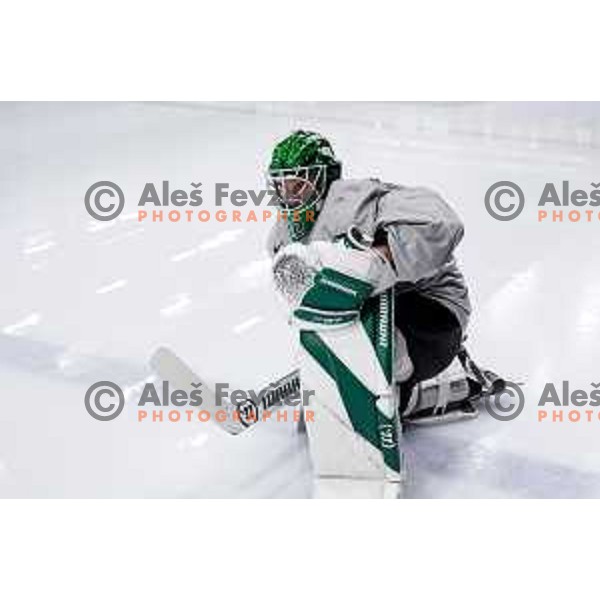Luka Kolin of Slovenia Ice-Hockey team during practice session in Bled Ice Hockey Rink, Slovenia on November 4, 2025