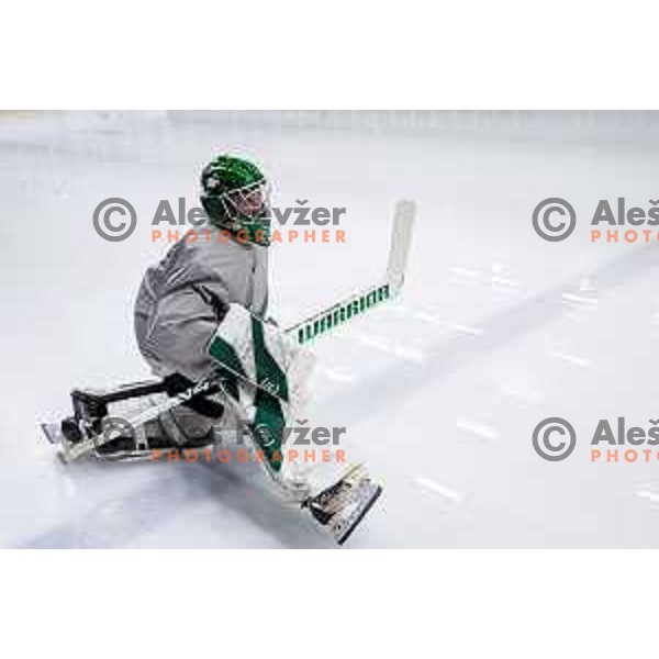 Luka Kolin of Slovenia Ice-Hockey team during practice session in Bled Ice Hockey Rink, Slovenia on November 4, 2025