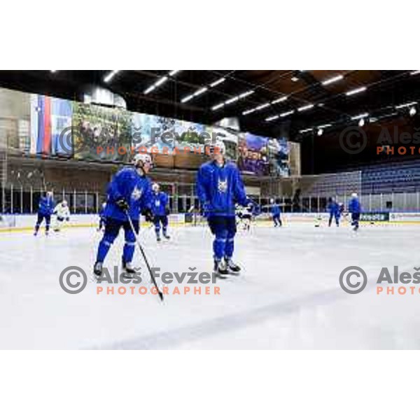 Slovenia Ice-Hockey team during practice session in Bled Ice Hockey Rink, Slovenia on November 4, 2025