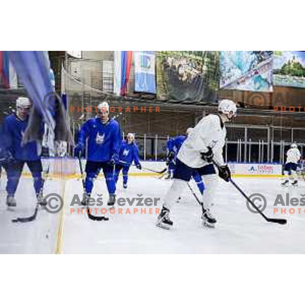 Slovenia Ice-Hockey team during practice session in Bled Ice Hockey Rink, Slovenia on November 4, 2025
