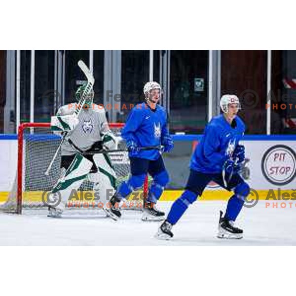 Luka Kolin of Slovenia Ice-Hockey team during practice session in Bled Ice Hockey Rink, Slovenia on November 4, 2025