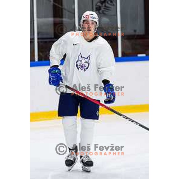 Slovenia Ice-Hockey team during practice session in Bled Ice Hockey Rink, Slovenia on November 4, 2025
