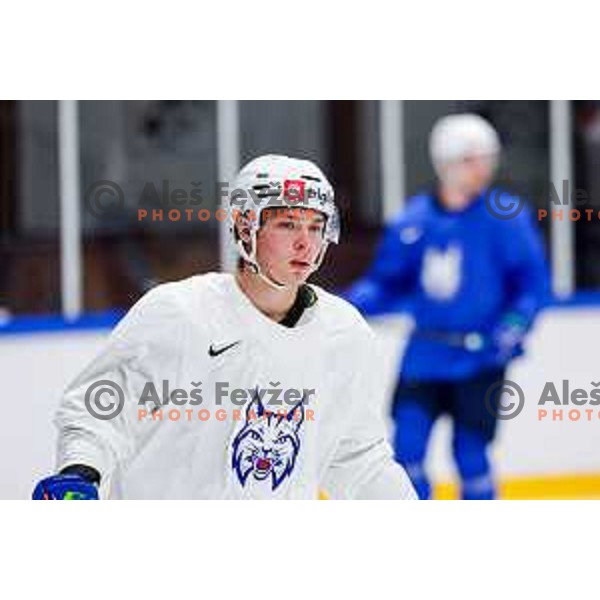 Slovenia Ice-Hockey team during practice session in Bled Ice Hockey Rink, Slovenia on November 4, 2025