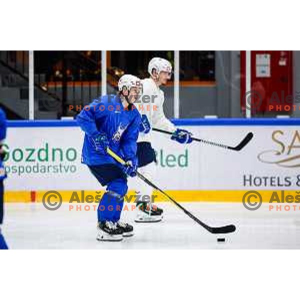 Slovenia Ice-Hockey team during practice session in Bled Ice Hockey Rink, Slovenia on November 4, 2025