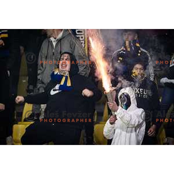 Celjski grofje during UEFA Conference League 2025/26 football match between NK Celje (SLO) and Legia Warszawa (POL) in Stadion z’dezele, Celje, Slovenia on November 6, 2025. Photo: Jure Banfi